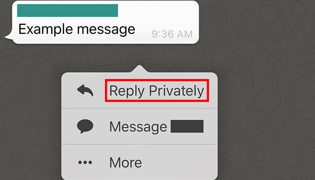 WhatsApp Group Private Reply